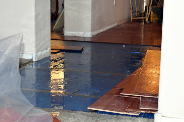 Professional Water Damage Restoration technician working in Wading River, NY